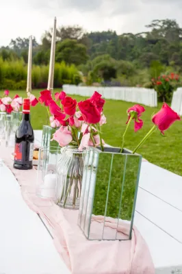 Picnic Setup