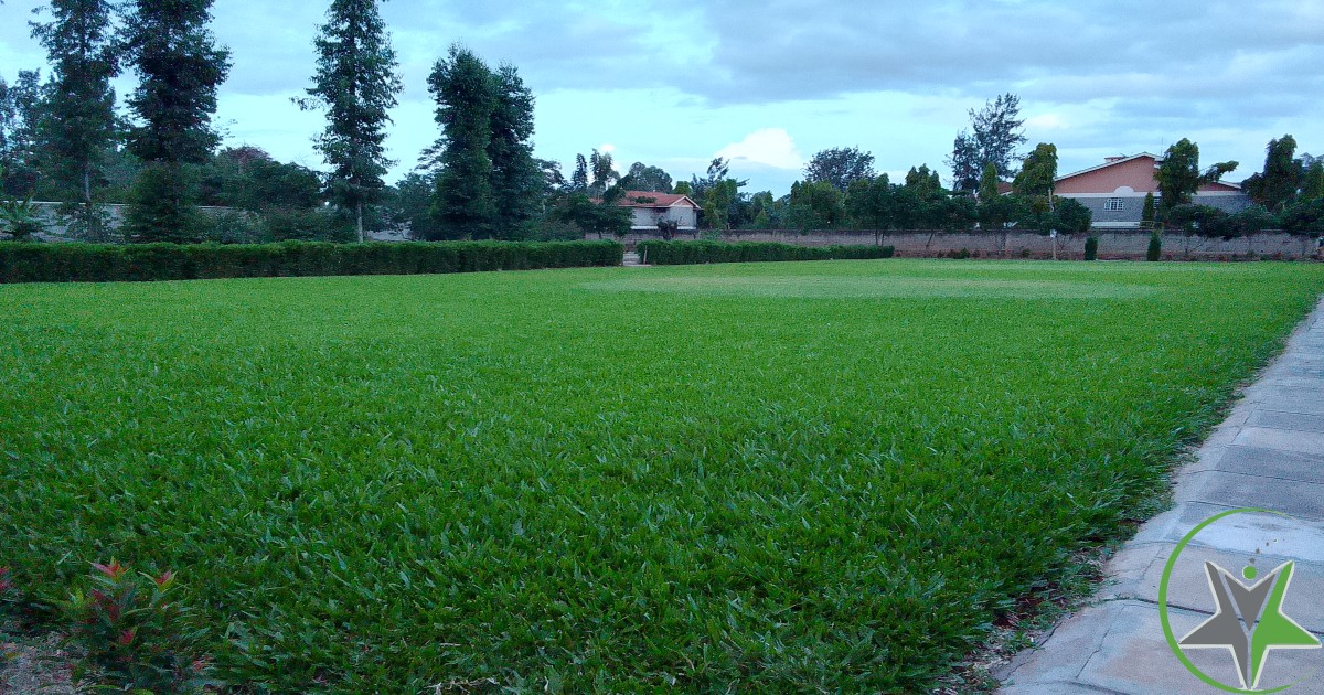 Main Space