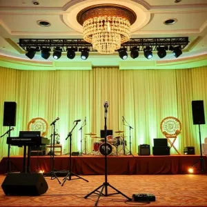 Performers and Entertainers