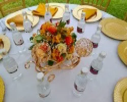 Mbuga FARM And Gardens