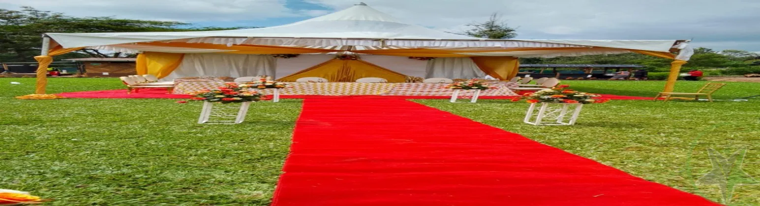 Cover of Mbuga FARM And Gardens