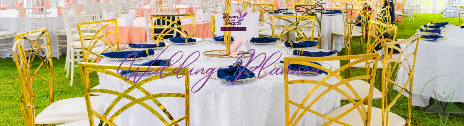 Cover of BLOOMS AND DRAPES EVENTS LTD